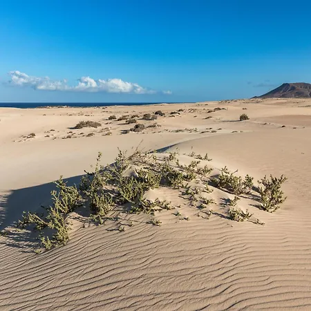 Home2book Poolside & Terrace Retreat, Corralejo * La Oliva