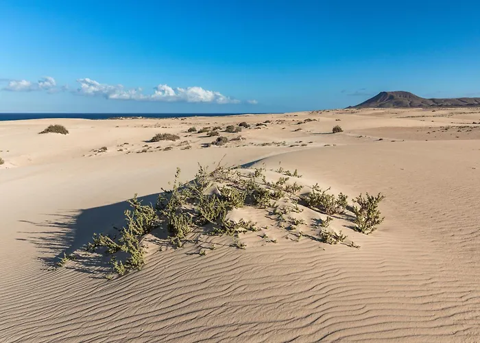 Home2book Poolside & Terrace Retreat, Corralejo * La Oliva